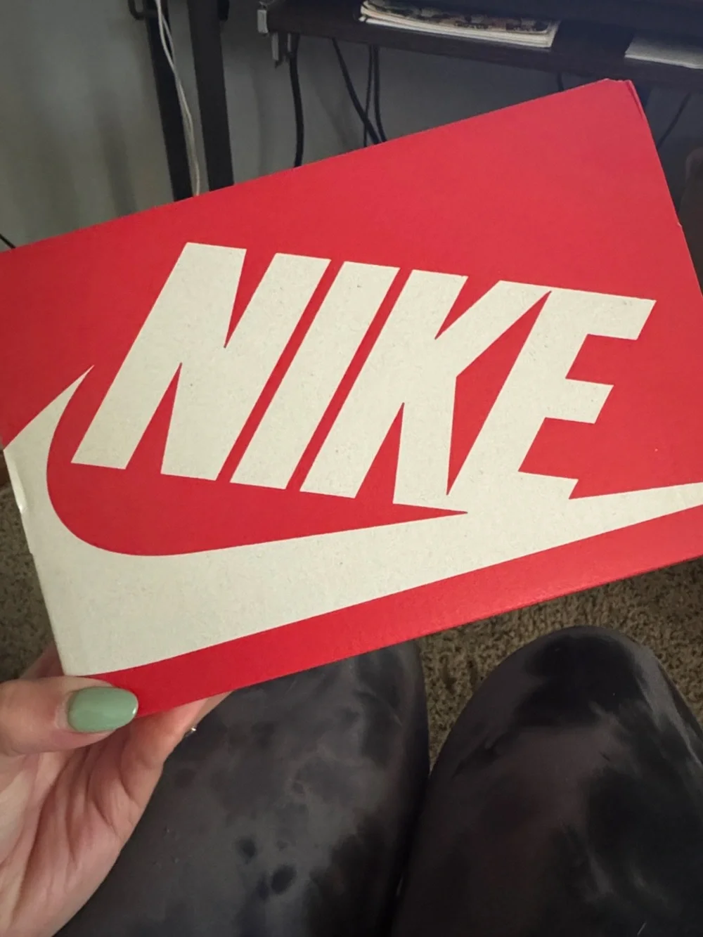 NEW Nike Toddler Dunk Low Sneakers